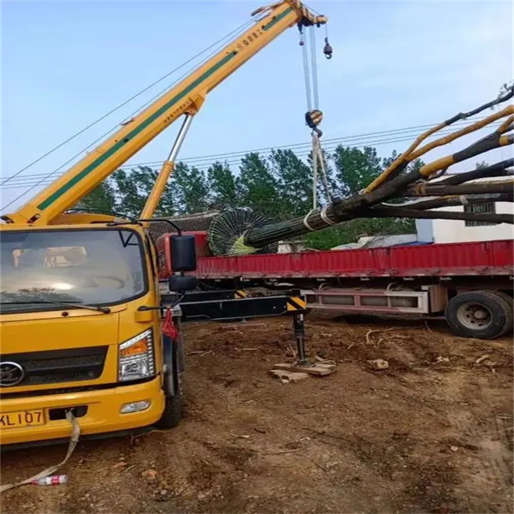 五湖渔场100吨吊车租赁费用怎么算？3大关键因素+省钱技巧全解析